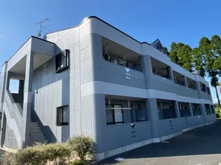 サイネリア丸美【103号室】の外観