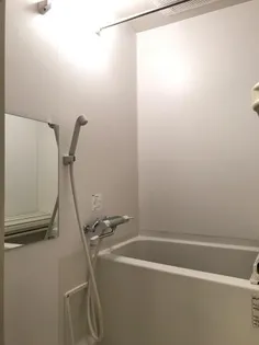 MAISONCOMFORCE【107号室】の内装