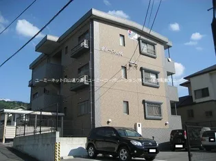 グレース Mの画像