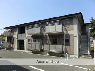 プラシードSSの画像