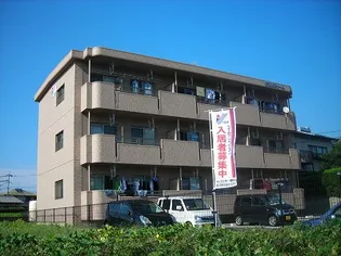 グランディール【3階】の外観