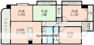 VOLARE出水【1階】の間取り