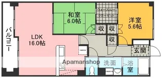 ベルグランデ国府【5階】の間取り