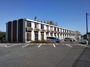 レオネクストコートグレイスⅢ【112号室】の外観