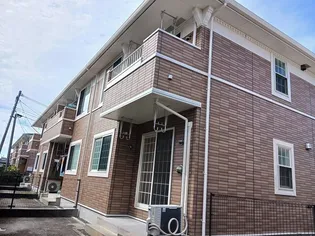 サンフラワーCの画像