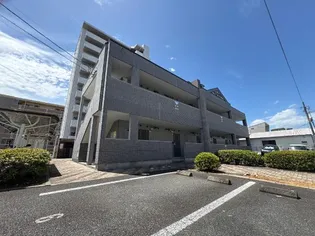 ピュアフォレストの画像