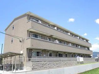 ピソラフィネの画像