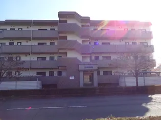 IKM菊陽【3階】の外観