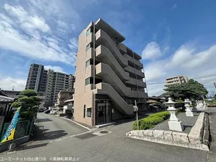 アイランド神水IIの画像