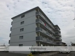 ヴェルディ島崎の画像