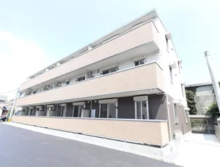 アガパンサスの画像