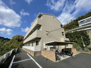 コルトンの画像