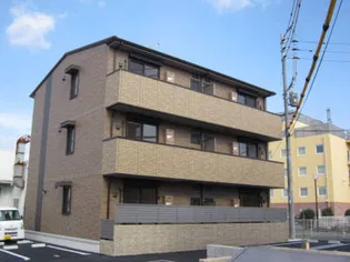 NEUTRAL 7の画像