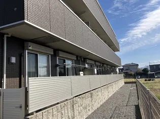 サンフラワー須屋の画像