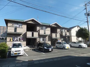 ウィルモア世安の画像