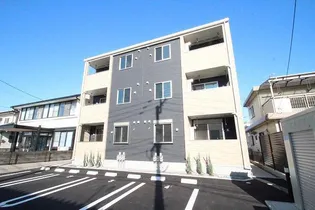 クリザンテームの画像