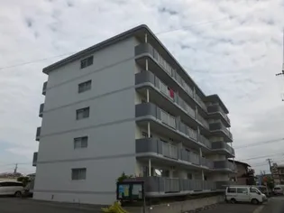 ヴェルディ島崎の画像