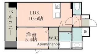 熊本県熊本市中央区坪井4丁目【マンション】の間取り