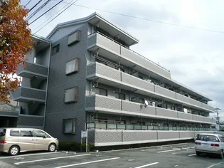 RグレイIの画像