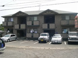 ウィルモア世安の画像