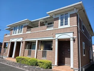 ひまわり Aの画像