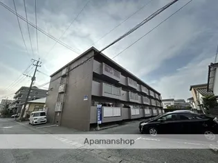 メッシーナ月出の画像