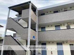 T ハイツ黒髪の画像