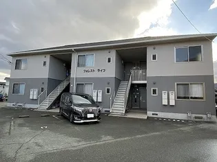 フォレスト ライフの画像