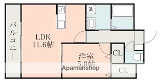白山ヒルズ【2階】の間取り