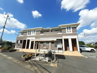 サンフラワーAの画像