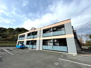 サニー フィールドの画像