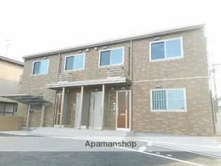 カメリアの画像