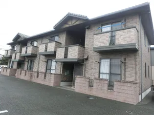 カメリアIIIの画像