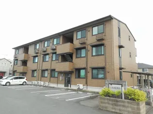 ユーエム セイラの画像