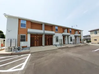 ブラウンドヒル Mの画像