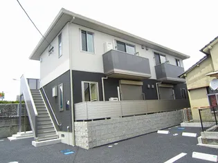 イベリスの画像