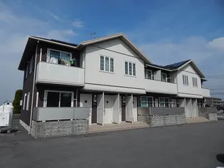 フェリーチェの画像