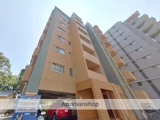 エルフィナ八王寺 C棟【8階】の外観