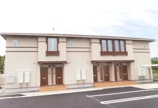 プラシードBの画像