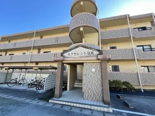エクセレント皇英の画像