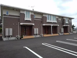 アンビシャスの画像