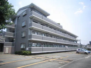 RグレイIの画像