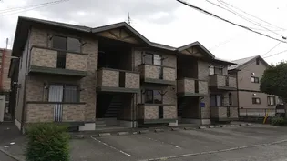 ウィルモア世安の画像