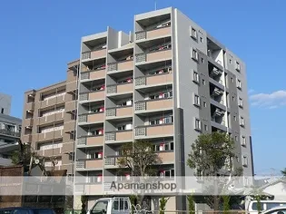 AXIS神水の画像