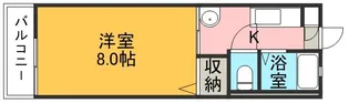 メゾンドマモール【1階】の間取り