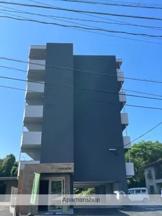 CHAINON楡木の画像