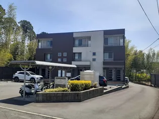 ラフレシールVの画像