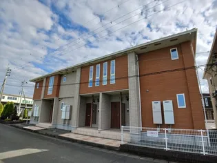 プラシードAの画像