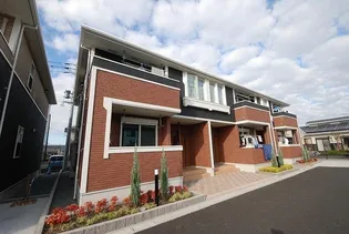 プリムラ パラッツオBの画像