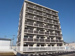 りゅう&ベルの画像